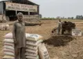 Gulf Crisis: Fertilizer crisis in South Asia, problems of farmers increased due to increase in cost of farming.