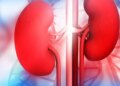 Health Warning Signs: Ignoring these common symptoms may lead to serious risk of liver-kidney failure.