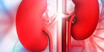 Health Warning Signs: Ignoring these common symptoms may lead to serious risk of liver-kidney failure.