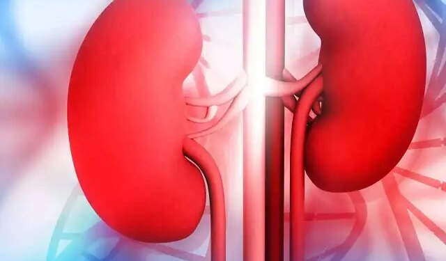 Health Warning Signs: Ignoring these common symptoms may lead to serious risk of liver-kidney failure.