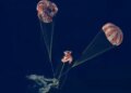 Historic mission Artemis II completed, astronauts land safely on Earth