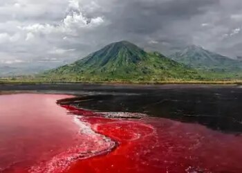 Hot, salty and alkaline...the mysterious lake of Tanzania, where 'red water' looks dangerous.
