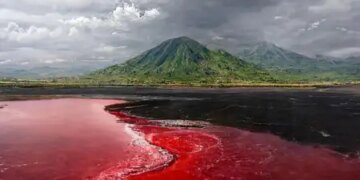 Hot, salty and alkaline...the mysterious lake of Tanzania, where 'red water' looks dangerous.