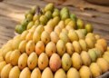 How to easily identify whether mango found in the market is dangerous for health?