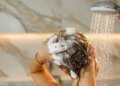 If you want to prevent hair fall then choose your shampoo keeping these things in mind, you will get relief from itching and dandruff.