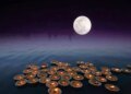 Importance of Vaishakh Purnima and method of donation: Special virtuous results mentioned in Padma Purana
