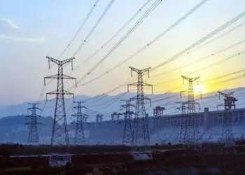 India aims to achieve 100 GW nuclear power capacity by 2047: CEA Chief Ghanshyam Prasad