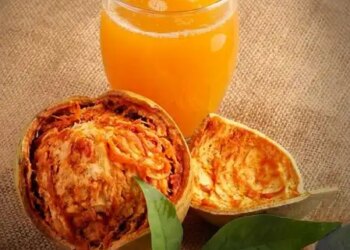 Is your digestion weak? Do you suffer from indigestion? Consuming this sherbet in summer will provide relief and energy.