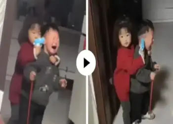 Little 'Don' points toy gun at brother's temple for toffee, can't stop laughing after seeing sister's bullying in the video