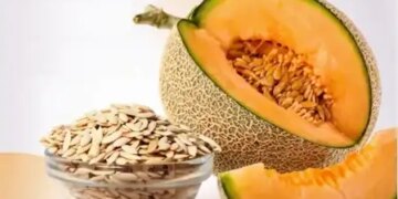 'Melon seeds': Superfood rich in nutrients, boosts immunity and controls blood pressure.