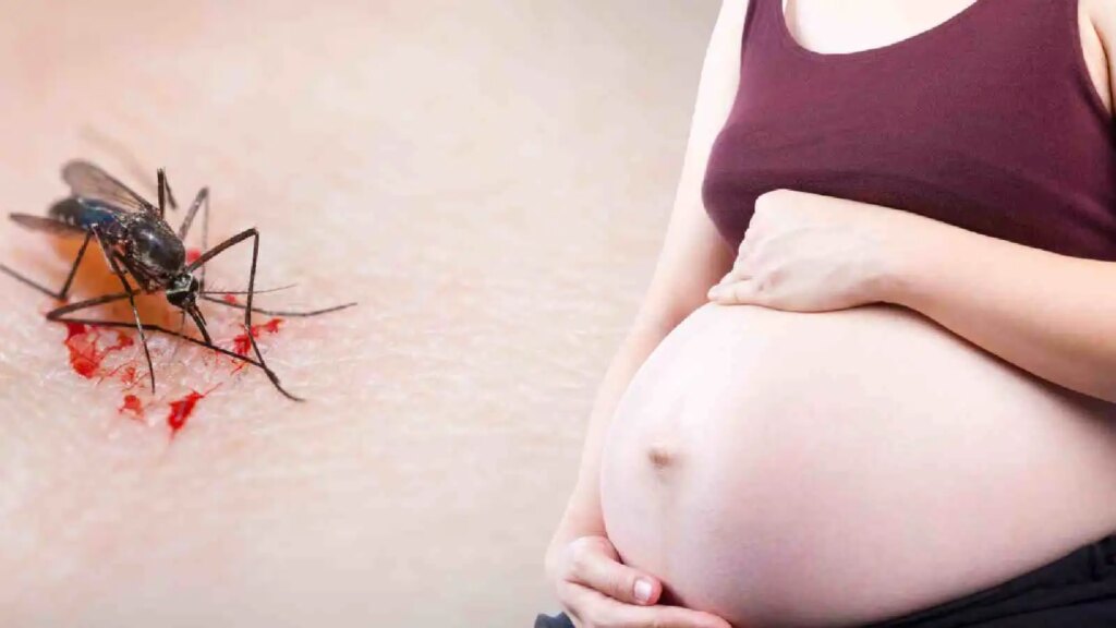 Pregnancy Alert: Malaria can increase the risk of premature delivery, know how to keep yourself safe