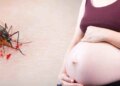 Pregnancy Alert: Malaria can increase the risk of premature delivery, know how to keep yourself safe