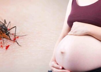 Pregnancy Alert: Malaria can increase the risk of premature delivery, know how to keep yourself safe