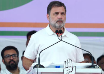 'Puducherry government has been imposed from Delhi': Rahul Gandhi's attack before elections