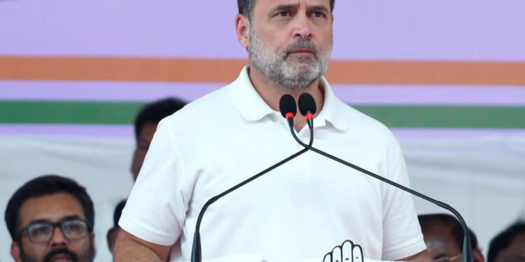 'Puducherry government has been imposed from Delhi': Rahul Gandhi's attack before elections