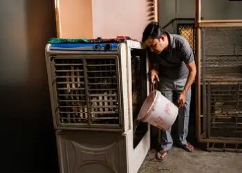 Put this small thing in cooler water, you will get relief from bad smell and mosquitoes