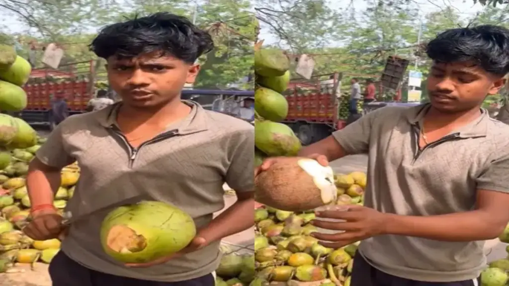 Right way to buy coconut, seller gives easy tips in viral video