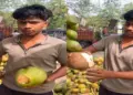 Right way to buy coconut, seller gives easy tips in viral video