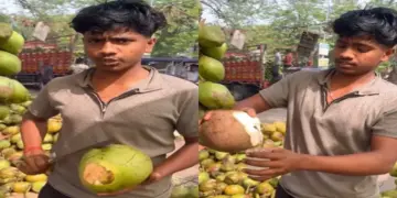 Right way to buy coconut, seller gives easy tips in viral video