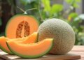 Superfruit of summer: Melon soothes the body and brightens the face in the rising heat.