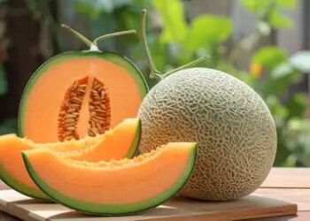 Superfruit of summer: Melon soothes the body and brightens the face in the rising heat.