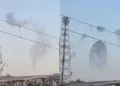 The fascinating scene of birds 'dancing' in the sky went viral, people said - magic of nature