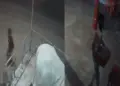 Theft in Baba Bhadeshwar Nath temple of Muzaffarpur, thieves took away valuables including donation box; Incident captured in CCTV