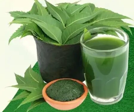 This bitterness is beneficial, Neem works like a 'protective shield' for the liver in times of diseases.