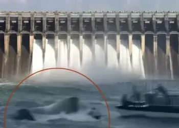 Tragic accident in Jabalpur! Cruise with 31 people sank in Bargi Dam, bodies of 4 people recovered