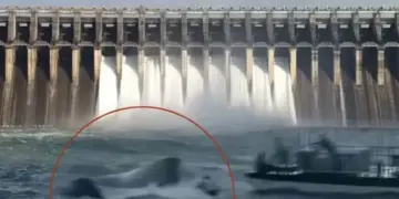 Tragic accident in Jabalpur! Cruise with 31 people sank in Bargi Dam, bodies of 4 people recovered
