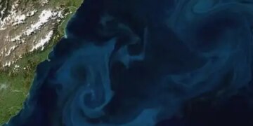Unique play of colors in the sea, why 'phytoplankton' is important for climate