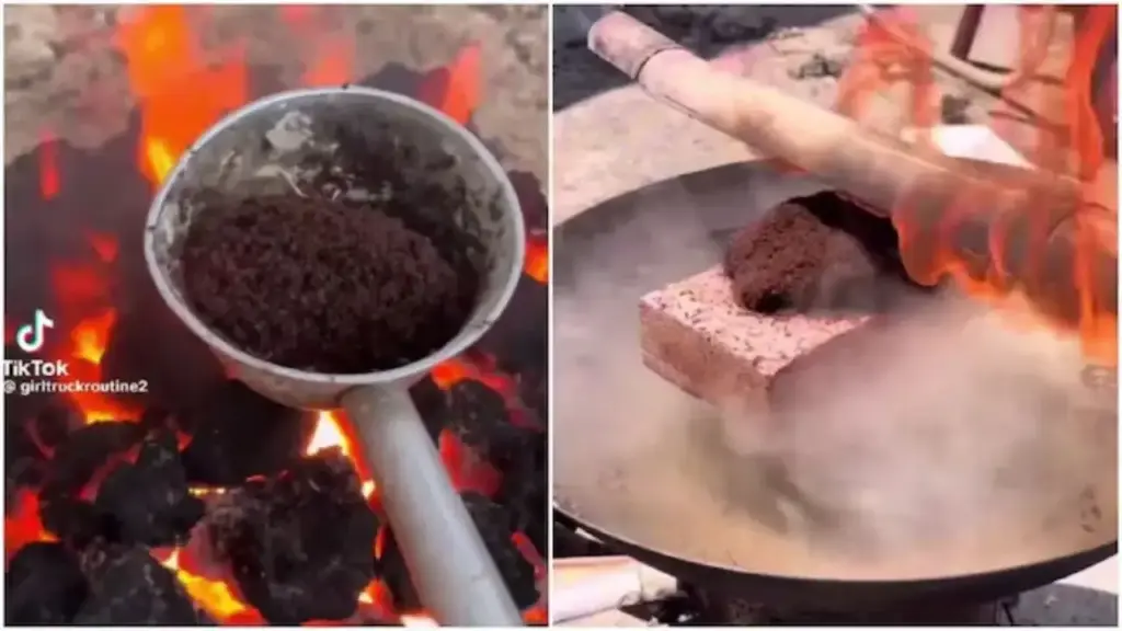 Where did this executioner come from? Thousands of ants were put to death, users got angry after watching the video.