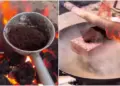 Where did this executioner come from? Thousands of ants were put to death, users got angry after watching the video.