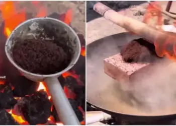 Where did this executioner come from? Thousands of ants were put to death, users got angry after watching the video.