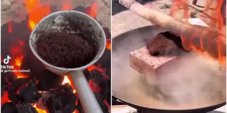 Where did this executioner come from? Thousands of ants were put to death, users got angry after watching the video.