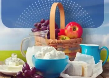 Why is protein important in breakfast, know what to include in the plate?