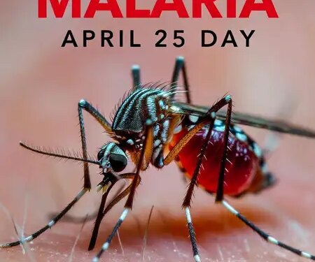 World Malaria Day: 'Now We Can…Now We Must' Eradicate Malaria
