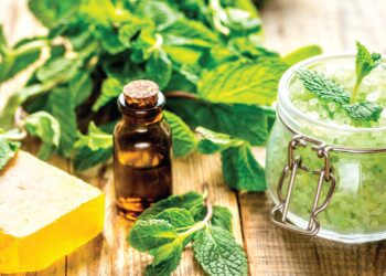 ≡ 6 Ayurvedic Beauty Brands You Should Know About 》 Her Beauty
