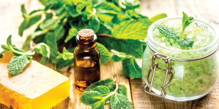 ≡ 6 Ayurvedic Beauty Brands You Should Know About 》 Her Beauty