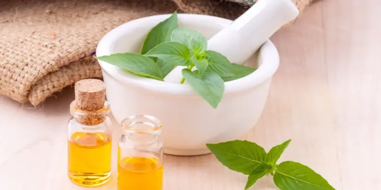 ≡ 8 Incredible Beauty Secrets of Ancient India That Every Modern Woman Must Know 》 Her Beauty