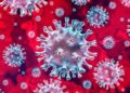 ≡ 8 reasons for the deadly second wave of COVID in India ➤ Brain Berries