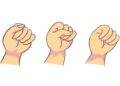 ≡ The way you make your fist will reveal the hidden secrets of your personality! ➤ Brain Berries