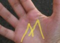 ≡ What does it mean if the lines on your hand form the letter 'M'? ➤ Brain Berries