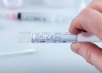 ≡ What you need to know about the Omicron variant of coronavirus ➤ Brain Berries