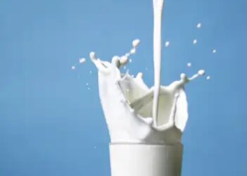 Jammu and Kashmir: License of milk unit in Bijbehara suspended for violation of rules