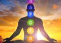 Samadhi is the ultimate state of yoga practice.