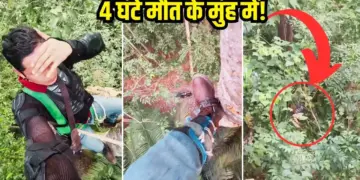 4 hours in the mouth of death, this is how a man saved his life from a hungry tiger, you will tremble after watching the video