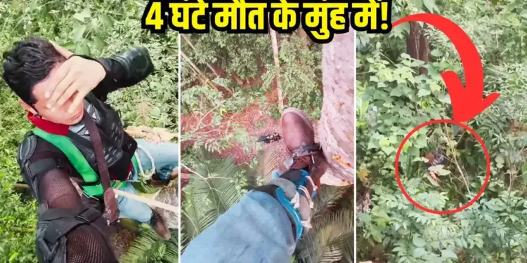 4 hours in the mouth of death, this is how a man saved his life from a hungry tiger, you will tremble after watching the video