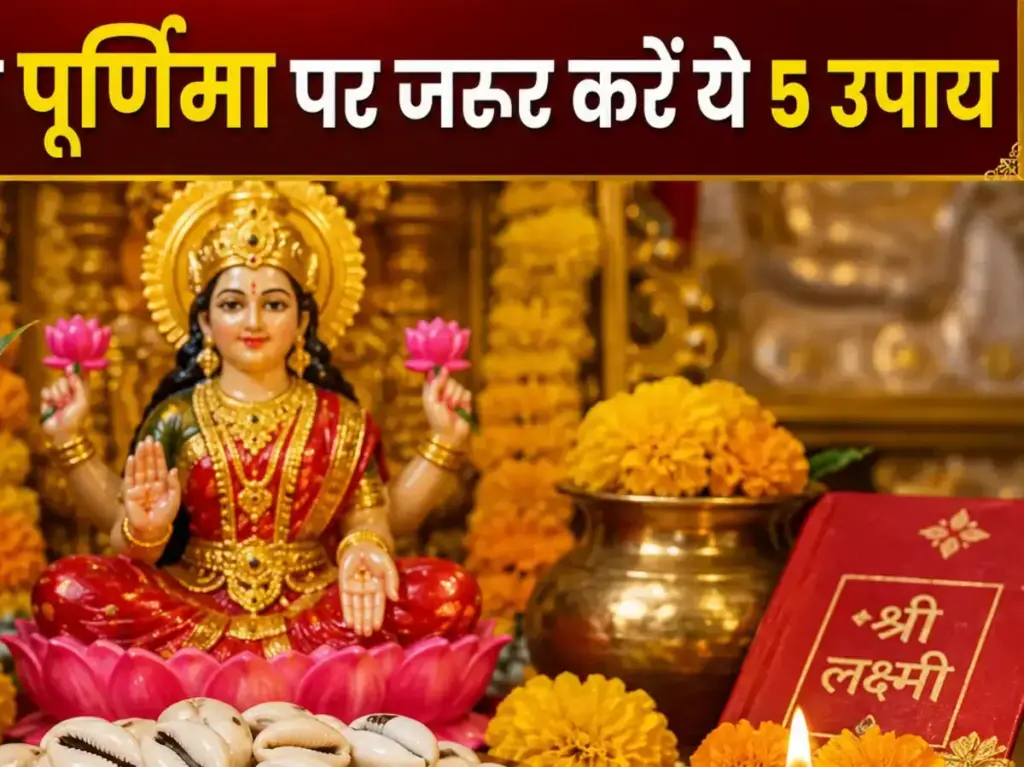 Adhik Maas 2026: Do these Kauri remedies on Adhik Maas Purnima, Goddess Lakshmi will shower her blessings.