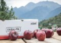 After apple, Adani Agri Fresh will purchase cherries in Himachal Pradesh, later purchase of peaches and plums will also start.